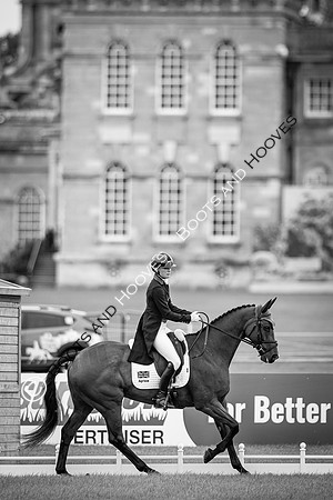 Agria Blenheim Palace International Horse Trials hosting the Agria FEI Eventing European Championship, Eventing, Blenheim Palace, Oxfordshire, UK - 18 Sep 2025