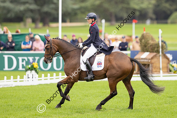 Agria Blenheim Palace International Horse Trials hosting the Agria FEI Eventing European Championship, Eventing, Blenheim Palace, Oxfordshire, UK - 18 Sep 2025