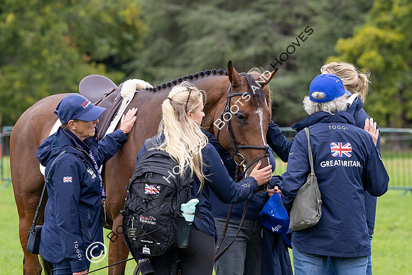 Agria Blenheim Palace International Horse Trials hosting the Agria FEI Eventing European Championship, Eventing, Blenheim Palace, Oxfordshire, UK - 18 Sep 2025