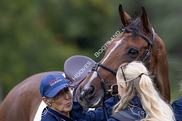 Agria Blenheim Palace International Horse Trials hosting the Agria FEI Eventing European Championship, Eventing, Blenheim Palace, Oxfordshire, UK - 18 Sep 2025