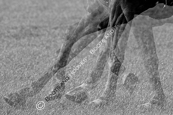 Agria Blenheim Palace International Horse Trials hosting the Agria FEI Eventing European Championship, Eventing, Blenheim Palace, Oxfordshire, UK - 18 Sep 2025