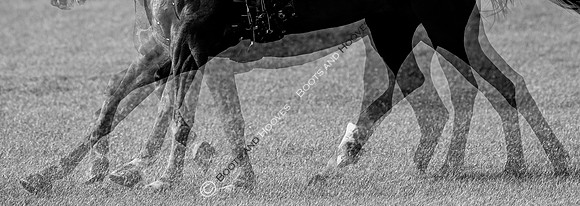 Agria Blenheim Palace International Horse Trials hosting the Agria FEI Eventing European Championship, Eventing, Blenheim Palace, Oxfordshire, UK - 18 Sep 2025
