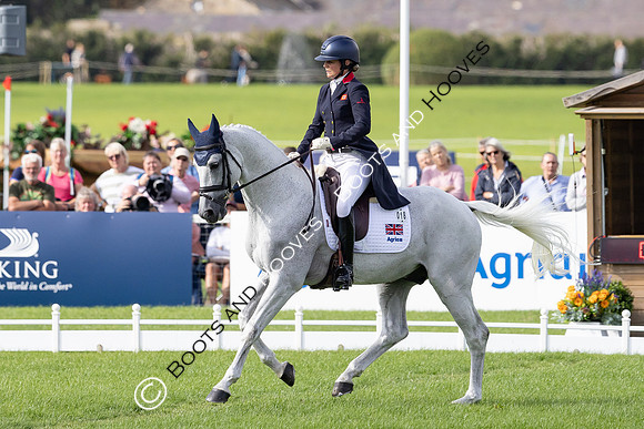 Agria Blenheim Palace International Horse Trials hosting the Agria FEI Eventing European Championship, Eventing, Blenheim Palace, Oxfordshire, UK - 18 Sep 2025