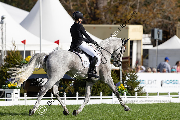 Agria Blenheim Palace International Horse Trials hosting the Agria FEI Eventing European Championship, Eventing, Blenheim Palace, Oxfordshire, UK - 18 Sep 2025
