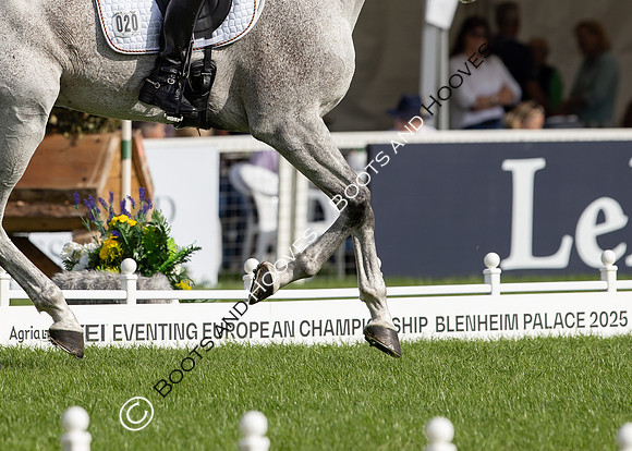 Agria Blenheim Palace International Horse Trials hosting the Agria FEI Eventing European Championship, Eventing, Blenheim Palace, Oxfordshire, UK - 18 Sep 2025