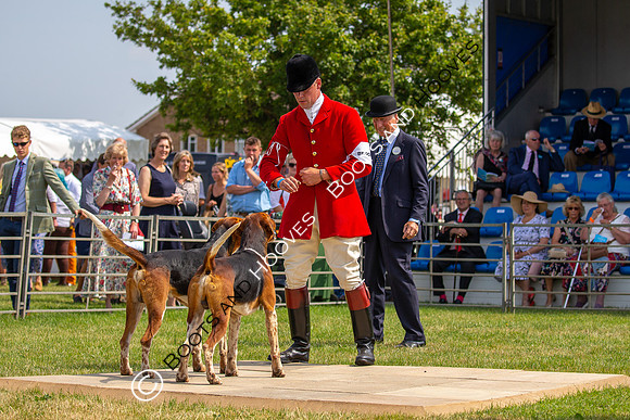 Festival of Hunting