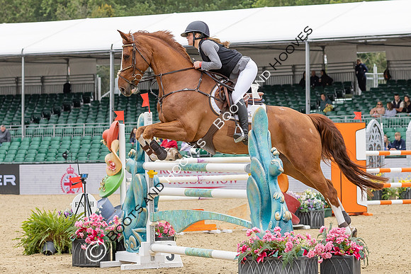 Royal Windsor Horse Show