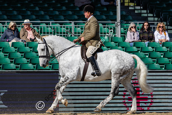 Royal Windsor Horse Show