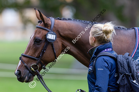 Agria Blenheim Palace International Horse Trials hosting the Agria FEI Eventing European Championship, Blenheim Palace, Woodstock, Oxfordshire, UK - 17 Sep 2025