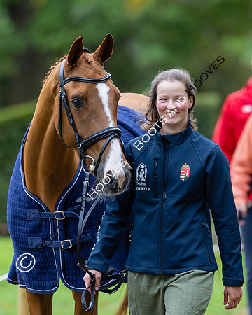 Agria Blenheim Palace International Horse Trials hosting the Agria FEI Eventing European Championship, Blenheim Palace, Woodstock, Oxfordshire, UK - 17 Sep 2025