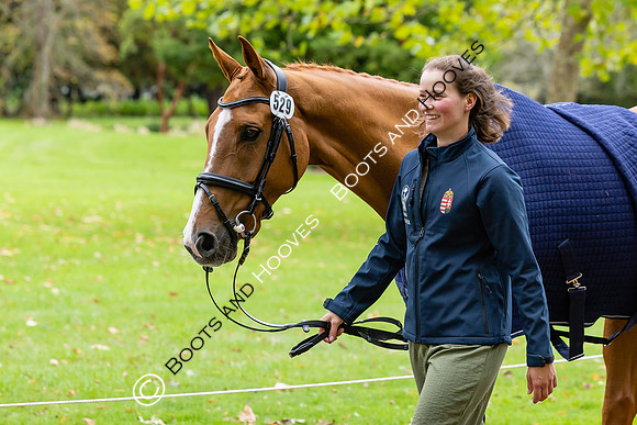 Agria Blenheim Palace International Horse Trials hosting the Agria FEI Eventing European Championship, Blenheim Palace, Woodstock, Oxfordshire, UK - 17 Sep 2025