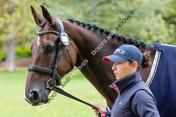 Agria Blenheim Palace International Horse Trials hosting the Agria FEI Eventing European Championship, Blenheim Palace, Woodstock, Oxfordshire, UK - 17 Sep 2025
