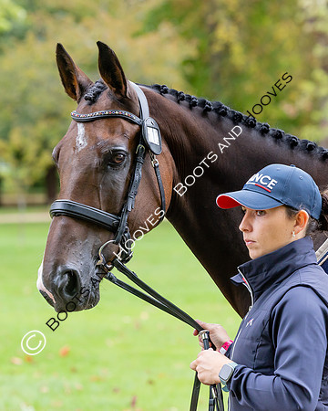 Agria Blenheim Palace International Horse Trials hosting the Agria FEI Eventing European Championship, Blenheim Palace, Woodstock, Oxfordshire, UK - 17 Sep 2025