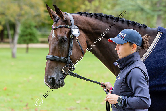 Agria Blenheim Palace International Horse Trials hosting the Agria FEI Eventing European Championship, Blenheim Palace, Woodstock, Oxfordshire, UK - 17 Sep 2025