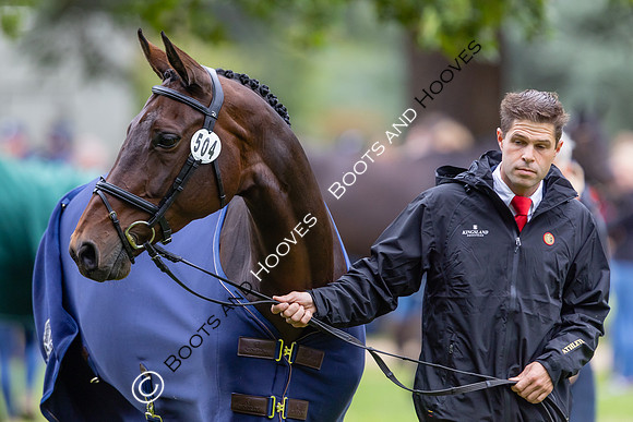 Agria Blenheim Palace International Horse Trials hosting the Agria FEI Eventing European Championship, Blenheim Palace, Woodstock, Oxfordshire, UK - 17 Sep 2025