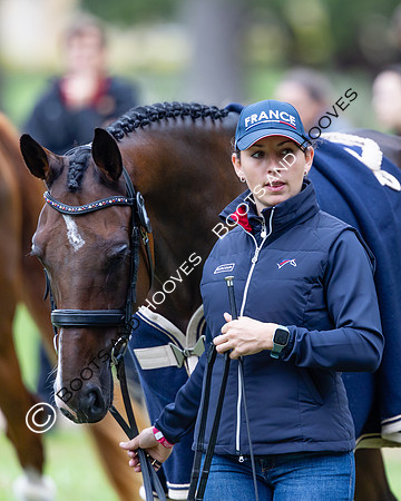 Agria Blenheim Palace International Horse Trials hosting the Agria FEI Eventing European Championship, Blenheim Palace, Woodstock, Oxfordshire, UK - 17 Sep 2025