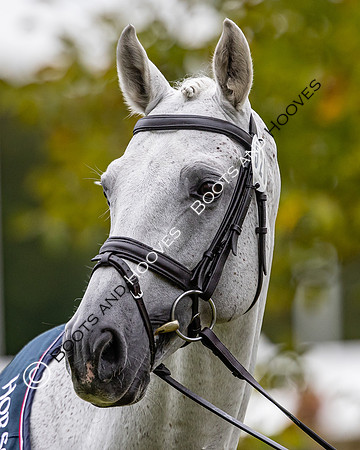 Agria Blenheim Palace International Horse Trials hosting the Agria FEI Eventing European Championship, Blenheim Palace, Woodstock, Oxfordshire, UK - 17 Sep 2025