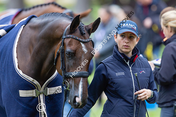 Agria Blenheim Palace International Horse Trials hosting the Agria FEI Eventing European Championship, Blenheim Palace, Woodstock, Oxfordshire, UK - 17 Sep 2025