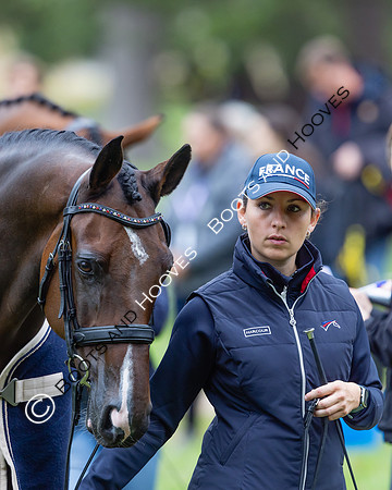 Agria Blenheim Palace International Horse Trials hosting the Agria FEI Eventing European Championship, Blenheim Palace, Woodstock, Oxfordshire, UK - 17 Sep 2025
