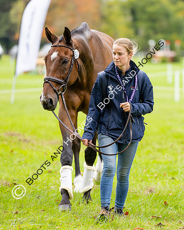 Agria Blenheim Palace International Horse Trials hosting the Agria FEI Eventing European Championship, Blenheim Palace, Woodstock, Oxfordshire, UK - 17 Sep 2025