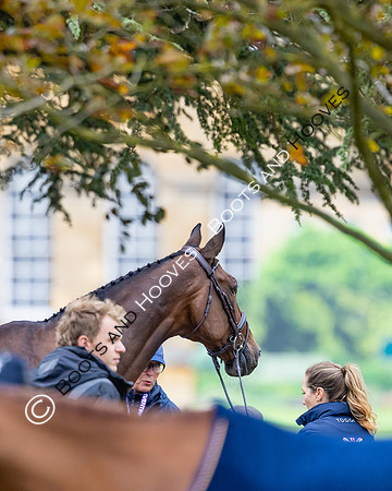 Agria Blenheim Palace International Horse Trials hosting the Agria FEI Eventing European Championship, Blenheim Palace, Woodstock, Oxfordshire, UK - 17 Sep 2025