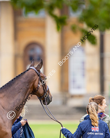 Agria Blenheim Palace International Horse Trials hosting the Agria FEI Eventing European Championship, Blenheim Palace, Woodstock, Oxfordshire, UK - 17 Sep 2025