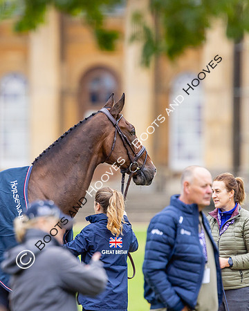 Agria Blenheim Palace International Horse Trials hosting the Agria FEI Eventing European Championship, Blenheim Palace, Woodstock, Oxfordshire, UK - 17 Sep 2025