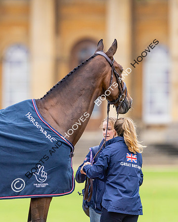 Agria Blenheim Palace International Horse Trials hosting the Agria FEI Eventing European Championship, Blenheim Palace, Woodstock, Oxfordshire, UK - 17 Sep 2025