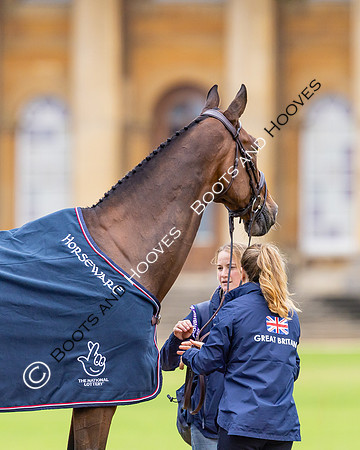 Agria Blenheim Palace International Horse Trials hosting the Agria FEI Eventing European Championship, Blenheim Palace, Woodstock, Oxfordshire, UK - 17 Sep 2025