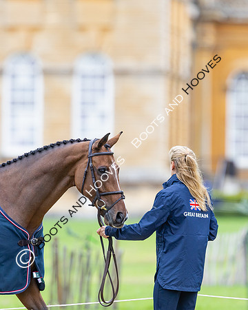 Agria Blenheim Palace International Horse Trials hosting the Agria FEI Eventing European Championship, Blenheim Palace, Woodstock, Oxfordshire, UK - 17 Sep 2025