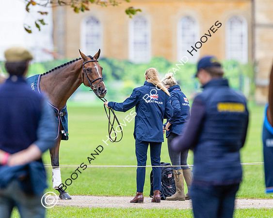 Agria Blenheim Palace International Horse Trials hosting the Agria FEI Eventing European Championship, Blenheim Palace, Woodstock, Oxfordshire, UK - 17 Sep 2025
