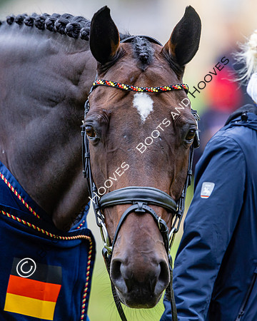 Agria Blenheim Palace International Horse Trials hosting the Agria FEI Eventing European Championship, Blenheim Palace, Woodstock, Oxfordshire, UK - 17 Sep 2025