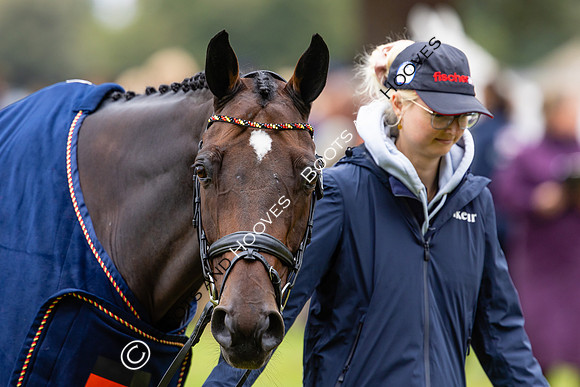 Agria Blenheim Palace International Horse Trials hosting the Agria FEI Eventing European Championship, Blenheim Palace, Woodstock, Oxfordshire, UK - 17 Sep 2025