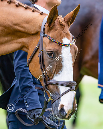 Agria Blenheim Palace International Horse Trials hosting the Agria FEI Eventing European Championship, Blenheim Palace, Woodstock, Oxfordshire, UK - 17 Sep 2025