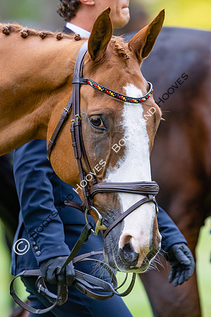 Agria Blenheim Palace International Horse Trials hosting the Agria FEI Eventing European Championship, Blenheim Palace, Woodstock, Oxfordshire, UK - 17 Sep 2025