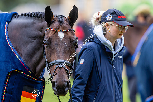 Agria Blenheim Palace International Horse Trials hosting the Agria FEI Eventing European Championship, Blenheim Palace, Woodstock, Oxfordshire, UK - 17 Sep 2025