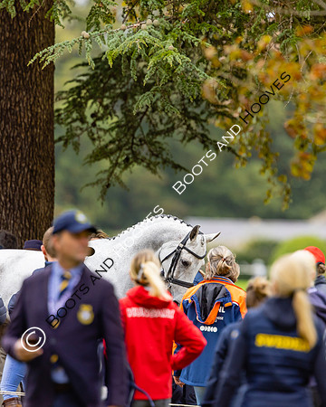 Agria Blenheim Palace International Horse Trials hosting the Agria FEI Eventing European Championship, Blenheim Palace, Woodstock, Oxfordshire, UK - 17 Sep 2025