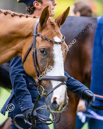 Agria Blenheim Palace International Horse Trials hosting the Agria FEI Eventing European Championship, Blenheim Palace, Woodstock, Oxfordshire, UK - 17 Sep 2025