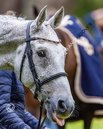 Agria Blenheim Palace International Horse Trials hosting the Agria FEI Eventing European Championship, Blenheim Palace, Woodstock, Oxfordshire, UK - 17 Sep 2025
