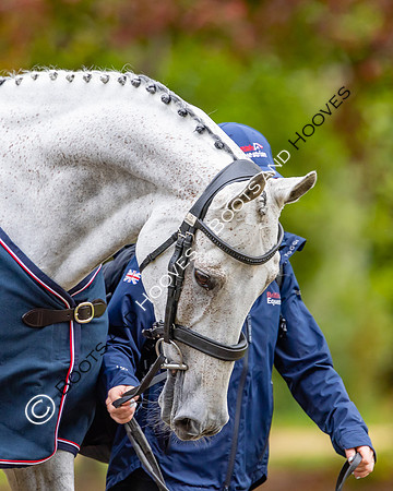Agria Blenheim Palace International Horse Trials hosting the Agria FEI Eventing European Championship, Blenheim Palace, Woodstock, Oxfordshire, UK - 17 Sep 2025