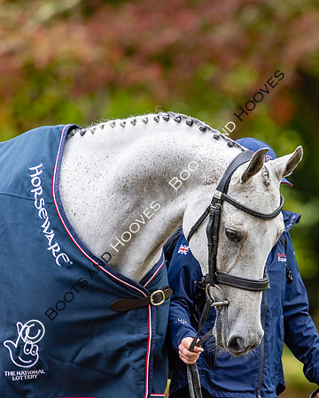 Agria Blenheim Palace International Horse Trials hosting the Agria FEI Eventing European Championship, Blenheim Palace, Woodstock, Oxfordshire, UK - 17 Sep 2025