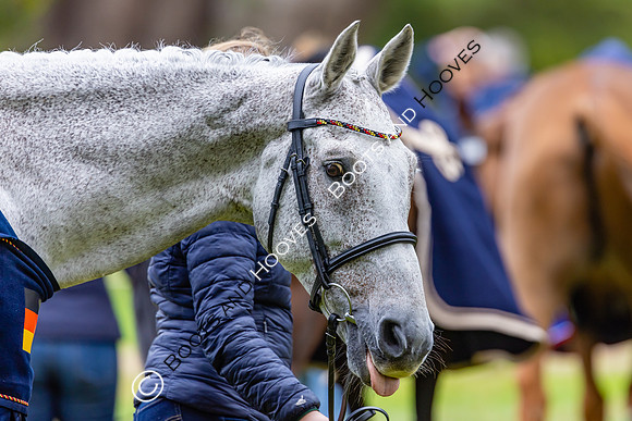 Agria Blenheim Palace International Horse Trials hosting the Agria FEI Eventing European Championship, Blenheim Palace, Woodstock, Oxfordshire, UK - 17 Sep 2025
