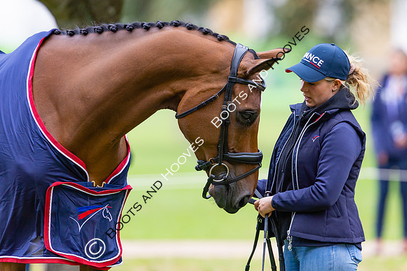 Agria Blenheim Palace International Horse Trials hosting the Agria FEI Eventing European Championship, Blenheim Palace, Woodstock, Oxfordshire, UK - 17 Sep 2025