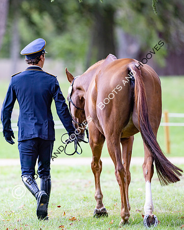 Agria Blenheim Palace International Horse Trials hosting the Agria FEI Eventing European Championship, Blenheim Palace, Woodstock, Oxfordshire, UK - 17 Sep 2025