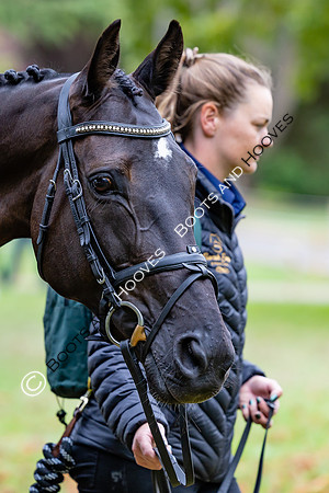 Agria Blenheim Palace International Horse Trials hosting the Agria FEI Eventing European Championship, Blenheim Palace, Woodstock, Oxfordshire, UK - 17 Sep 2025