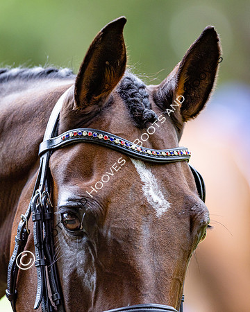 Agria Blenheim Palace International Horse Trials hosting the Agria FEI Eventing European Championship, Blenheim Palace, Woodstock, Oxfordshire, UK - 17 Sep 2025