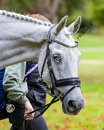 Agria Blenheim Palace International Horse Trials hosting the Agria FEI Eventing European Championship, Blenheim Palace, Woodstock, Oxfordshire, UK - 17 Sep 2025
