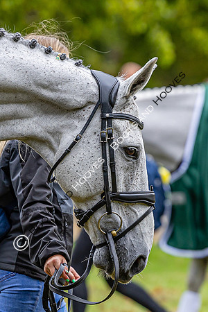 Agria Blenheim Palace International Horse Trials hosting the Agria FEI Eventing European Championship, Blenheim Palace, Woodstock, Oxfordshire, UK - 17 Sep 2025