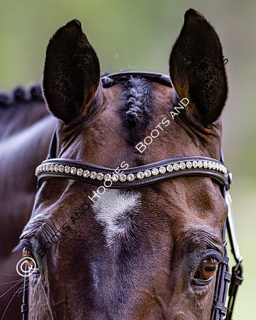 Agria Blenheim Palace International Horse Trials hosting the Agria FEI Eventing European Championship, Blenheim Palace, Woodstock, Oxfordshire, UK - 17 Sep 2025