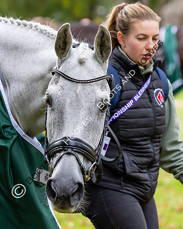 Agria Blenheim Palace International Horse Trials hosting the Agria FEI Eventing European Championship, Blenheim Palace, Woodstock, Oxfordshire, UK - 17 Sep 2025